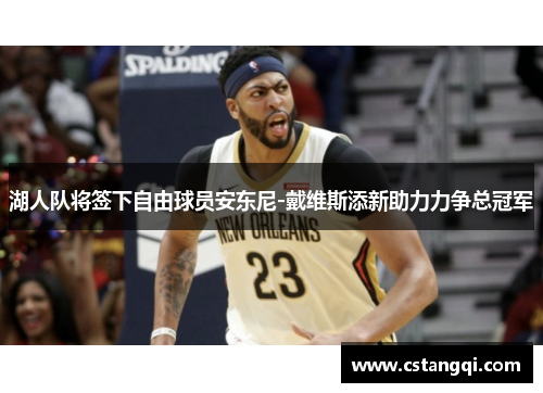 湖人队将签下自由球员安东尼-戴维斯添新助力力争总冠军