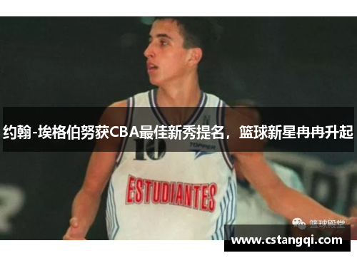 约翰-埃格伯努获CBA最佳新秀提名，篮球新星冉冉升起
