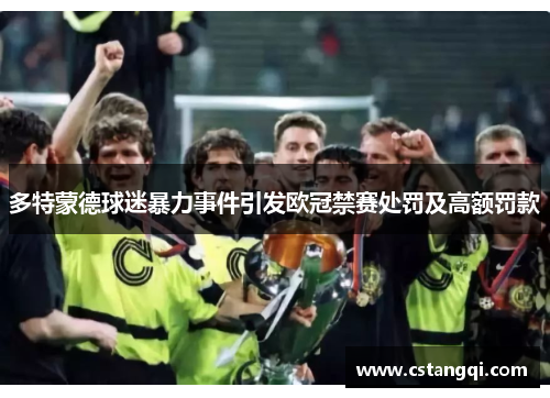 多特蒙德球迷暴力事件引发欧冠禁赛处罚及高额罚款